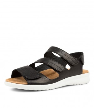 Women Ziera Bonny (Wide) Sandals Black / White | Z-926301